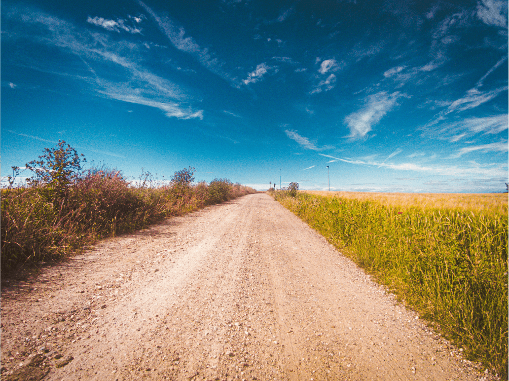 Picture of fields seemingly leading to clouds, creating the illusion of altitude